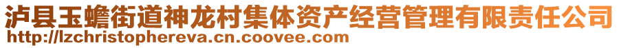 瀘縣玉蟾街道神龍村集體資產(chǎn)經(jīng)營管理有限責(zé)任公司