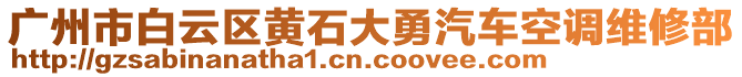 廣州市白云區(qū)黃石大勇汽車空調維修部