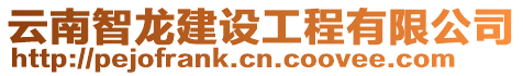 云南智龍建設工程有限公司
