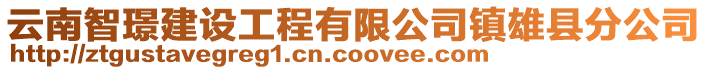 云南智璟建設(shè)工程有限公司鎮(zhèn)雄縣分公司