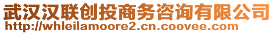 武漢漢聯(lián)創(chuàng)投商務咨詢有限公司