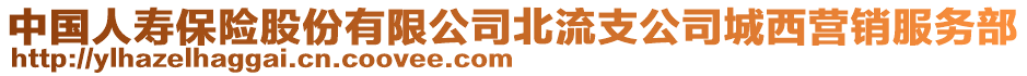 中國人壽保險股份有限公司北流支公司城西營銷服務(wù)部