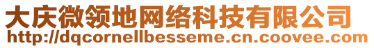 大慶微領(lǐng)地網(wǎng)絡(luò)科技有限公司