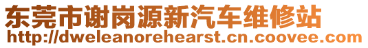 東莞市謝崗源新汽車維修站