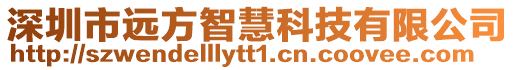 深圳市遠(yuǎn)方智慧科技有限公司