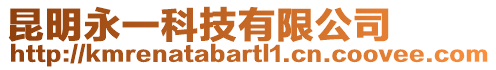 昆明永一科技有限公司