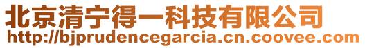 北京清寧得一科技有限公司