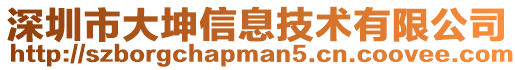 深圳市大坤信息技術有限公司