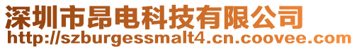 深圳市昂電科技有限公司