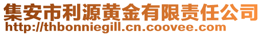 集安市利源黃金有限責(zé)任公司