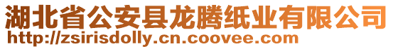 湖北省公安縣龍騰紙業(yè)有限公司