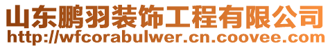 山東鵬羽裝飾工程有限公司