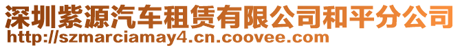 深圳紫源汽車租賃有限公司和平分公司