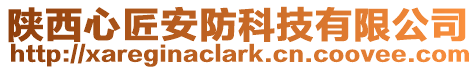 陜西心匠安防科技有限公司