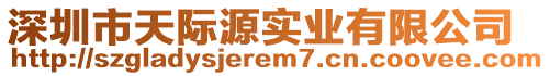 深圳市天際源實業(yè)有限公司