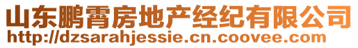 山東鵬霄房地產(chǎn)經(jīng)紀(jì)有限公司