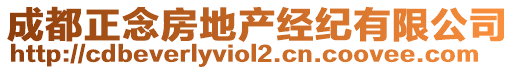 成都正念房地產(chǎn)經(jīng)紀(jì)有限公司