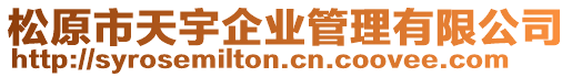 松原市天宇企業(yè)管理有限公司