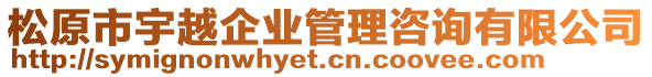 松原市宇越企業(yè)管理咨詢有限公司