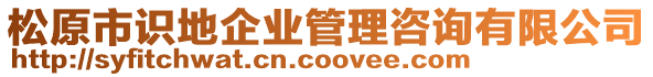 松原市識地企業(yè)管理咨詢有限公司