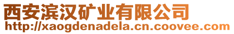 西安濱漢礦業(yè)有限公司