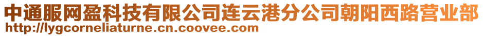 中通服網(wǎng)盈科技有限公司連云港分公司朝陽(yáng)西路營(yíng)業(yè)部