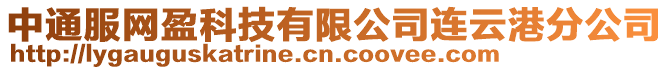 中通服網(wǎng)盈科技有限公司連云港分公司