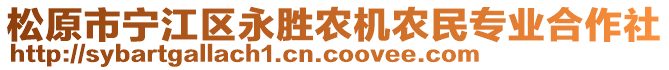 松原市寧江區(qū)永勝農(nóng)機農(nóng)民專業(yè)合作社