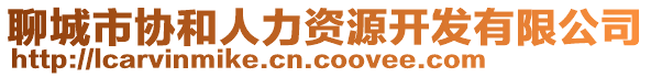 聊城市協(xié)和人力資源開發(fā)有限公司