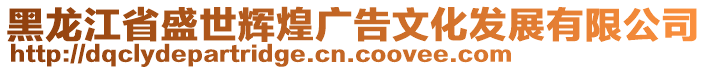 黑龍江省盛世輝煌廣告文化發展有限公司