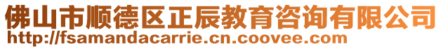 佛山市順德區(qū)正辰教育咨詢有限公司