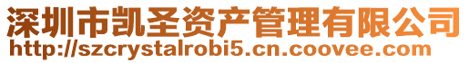 深圳市凱圣資產管理有限公司