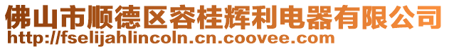 佛山市順德區(qū)容桂輝利電器有限公司