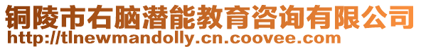 銅陵市右腦潛能教育咨詢有限公司