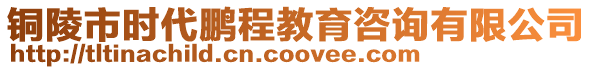 銅陵市時代鵬程教育咨詢有限公司