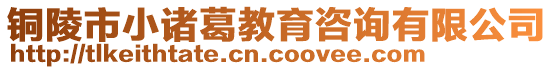 銅陵市小諸葛教育咨詢有限公司