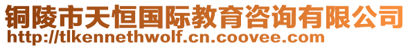 銅陵市天恒國(guó)際教育咨詢有限公司