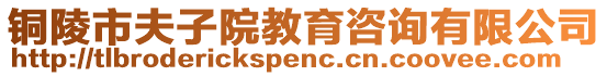 銅陵市夫子院教育咨詢有限公司