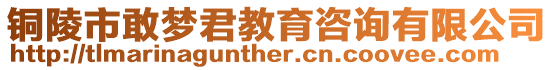 銅陵市敢夢君教育咨詢有限公司