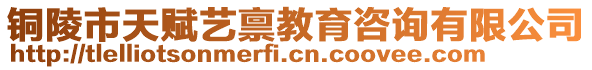 銅陵市天賦藝稟教育咨詢有限公司