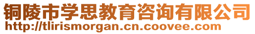 銅陵市學思教育咨詢有限公司