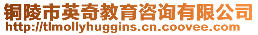 銅陵市英奇教育咨詢(xún)有限公司