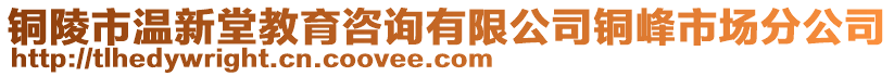 銅陵市溫新堂教育咨詢有限公司銅峰市場分公司