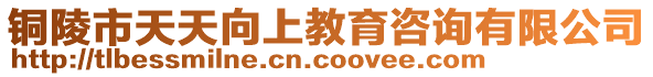 銅陵市天天向上教育咨詢有限公司