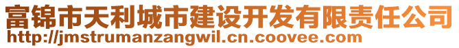 富錦市天利城市建設(shè)開發(fā)有限責(zé)任公司