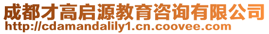 成都才高啟源教育咨詢有限公司