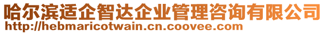 哈爾濱適企智達企業(yè)管理咨詢有限公司