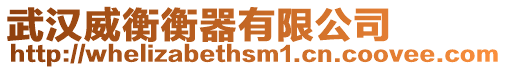 武漢威衡衡器有限公司