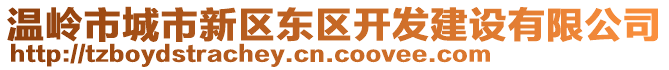 溫嶺市城市新區(qū)東區(qū)開發(fā)建設(shè)有限公司