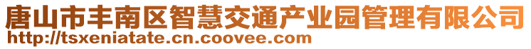 唐山市豐南區(qū)智慧交通產(chǎn)業(yè)園管理有限公司